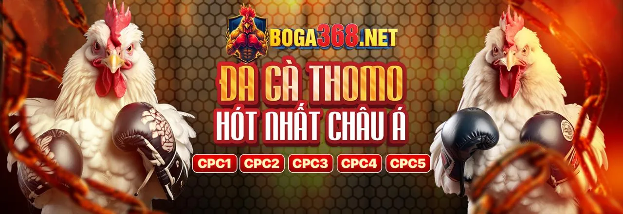 Chính Sách Cookie của w69 nhà cái